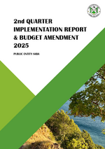 2nd Quarter Implementation Report & Budget Amendment 2025